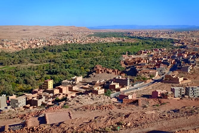 3 Days Desert Tour Fes to Marrakech with 2 Nights in Merzouga - Azrou Cedar Forest and the monkeys