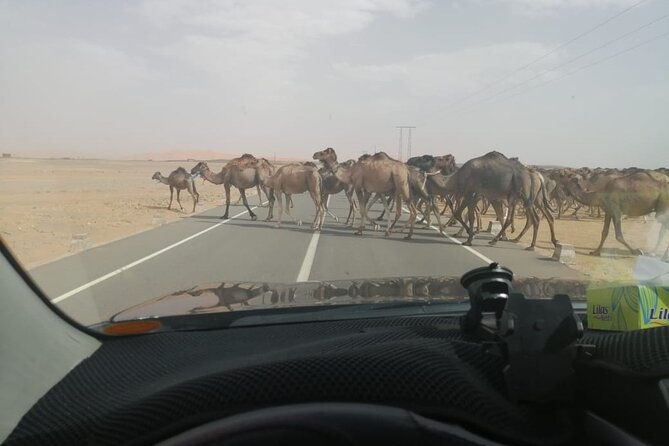 3 Days Desert Tour Fes to Marrakech with 2 Nights in Merzouga - What $200 per person really covers