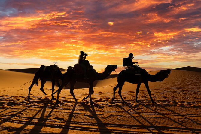 3 Days Desert Tour from Fes to Marrakech via Merzouga - Day 1: Cedar forests, Ziz Valley, and the Merzouga dunes