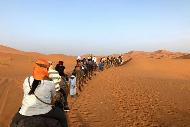 3 Days Desert Tour from Fes to Marrakech via Merzouga - What the private format really gives you