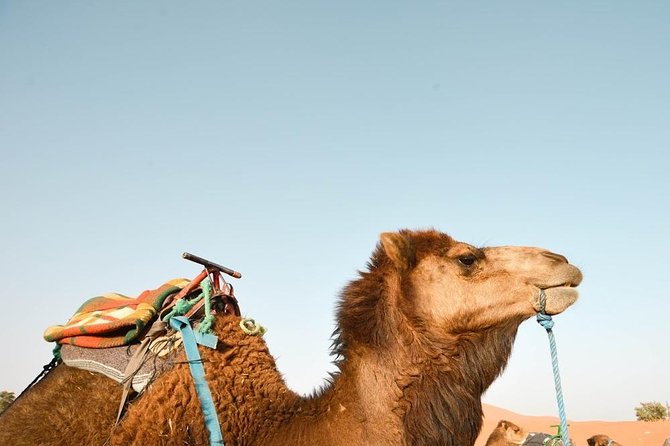 3 Days Desert Tour from Fes to Marrakech via Merzouga - Booking value and cancellation terms