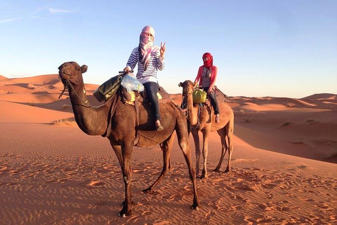 3 Days Desert Tour from Fes to Marrakech via Merzouga - Should you book this Fes to Marrakech desert tour?