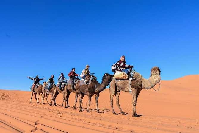 3 Days Desert tour from Fez to Marrakesh via Merzouga Erg chebbi - What the guides and driver add