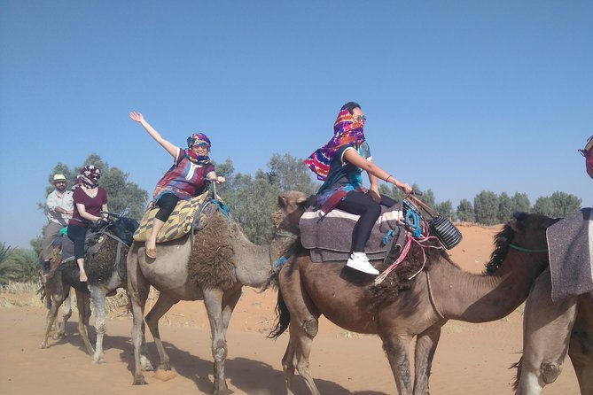 3 Days Desert tour from Fez to Marrakesh via Merzouga Erg chebbi - Food, hotels, and what you still pay for