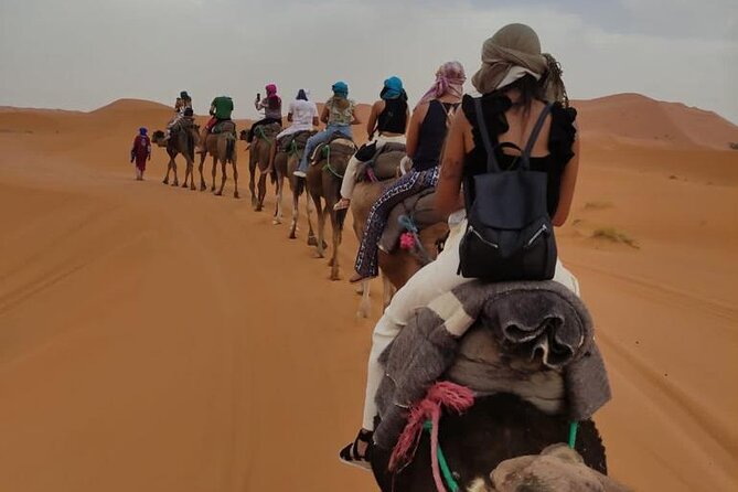 3 Days Desert Tour From Marrakech To Merzouga Dunes & Camel Trek - Todra Gorge and the Tafilalet oasis