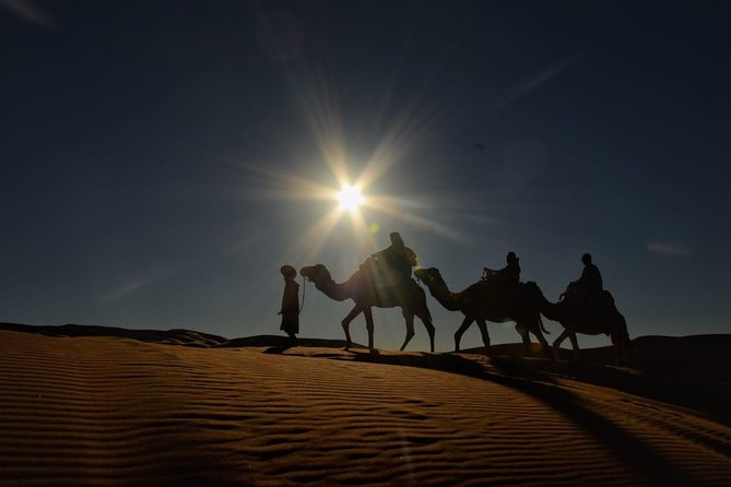 3-Days Desert Tour to Marrakech with Night in Erg Chebbi from Fes - The Erg Chebbi camel ride and desert camp