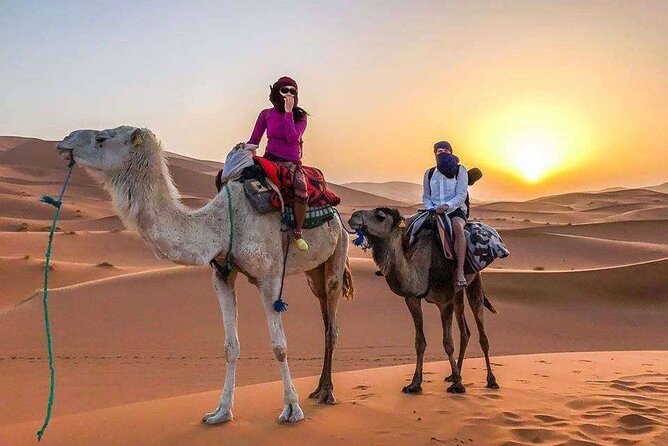 3 Days Desert Trip From Fes Back To Fes - The main strengths and the honest drawbacks