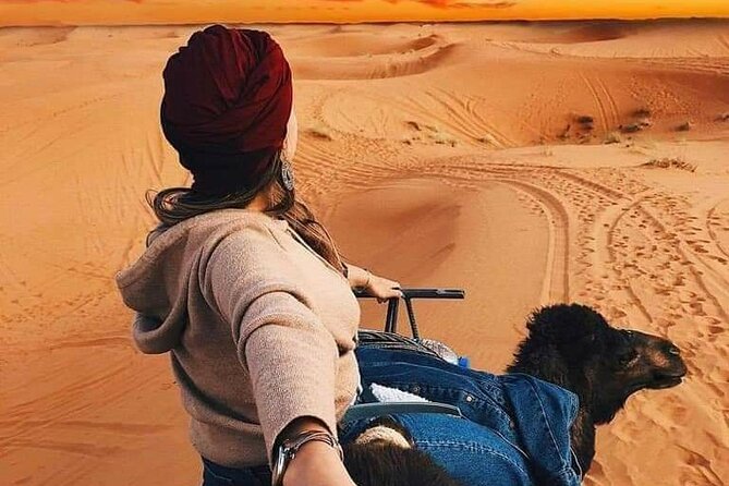 3 Days Fez to Marrakech via Sahara - Ifrane and the Cedar Woods