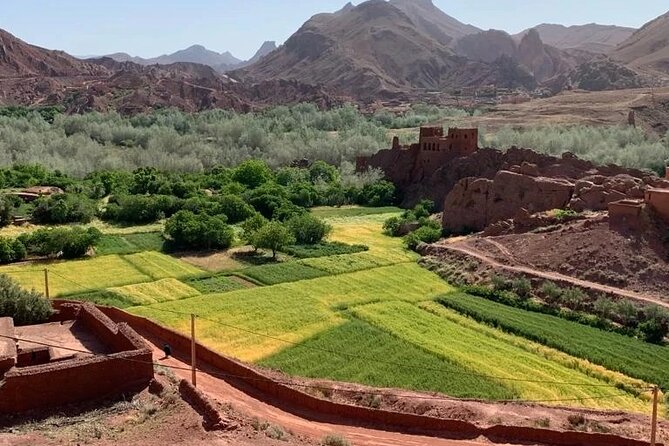 3 Days Fez to Marrakech via Sahara - The Driving and Group Experience