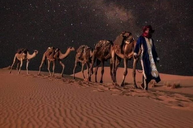 3 Days Luxury Desert Tour From Fes To Marrakech via Merzouga - Sunset by camel in the Merzouga dunes