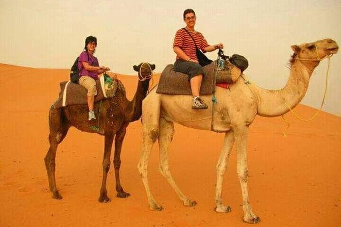3 Days Luxury Desert Tour From Fes To Marrakech via Merzouga - An overnight near the Dades Valley