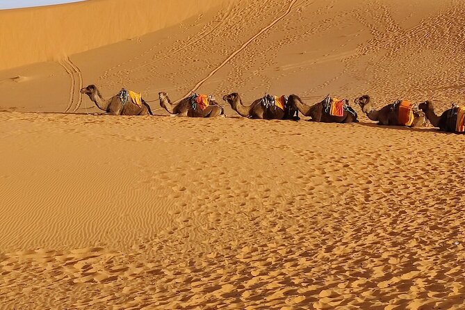3 Days Luxury Desert Tour From Fes To Marrakech via Merzouga - Rose Valley, Skoura, and Ouarzazate