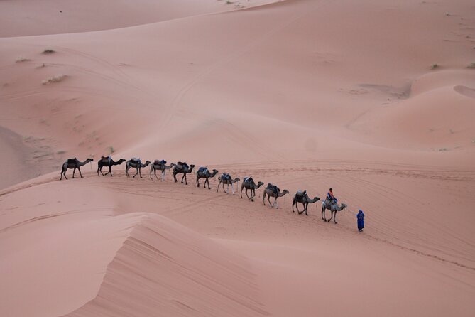 3-Days Morocco Desert Tour from Marrakech to Marzouga - Drivers, guides, and communication