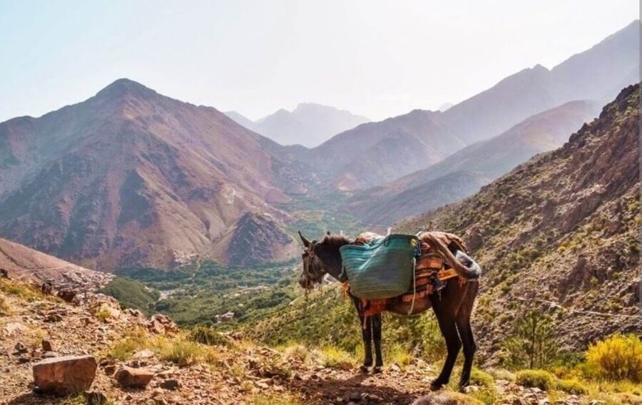 3 Days Trek Atlas Mountains Berber Villages from Marrakech - Fitness, weather, and packing advice