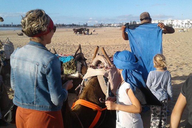 3-hour camel ride at sunset - A sunset ride on Essaouira’s open beach