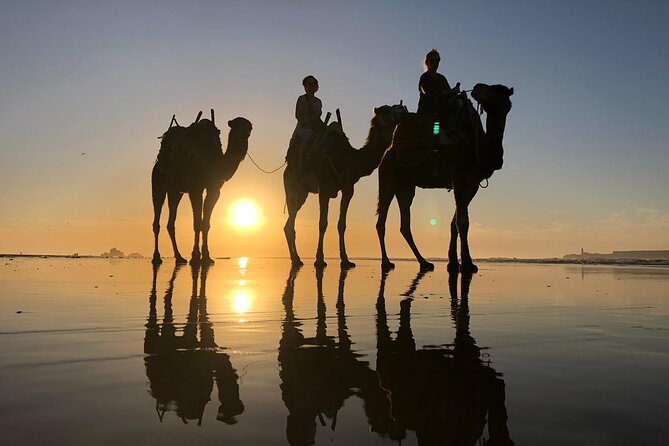 3-hour camel ride at sunset - Sunset, sea air, and the wind factor