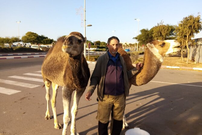 3-hour camel ride at sunset - The guides and the personal touch