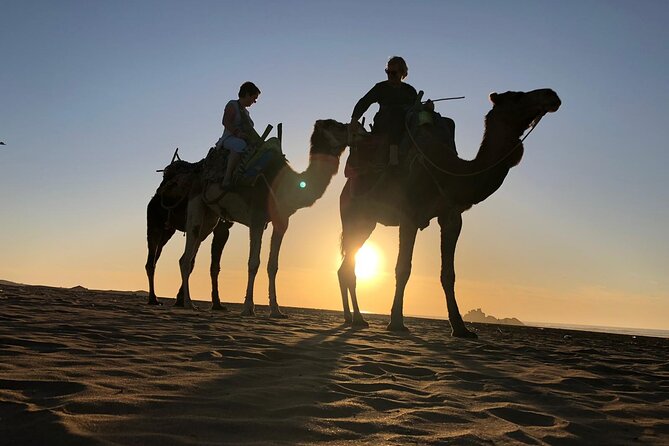 3-hour camel ride at sunset - Is $23.26 a good price?