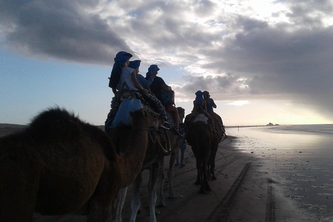 3-hour camel ride at sunset - Camels, horses, and the pace of the ride