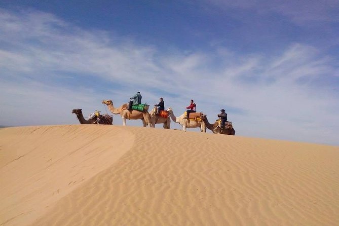 3 hours Camel Ride in Essaouira, beach and dunes - What the three-hour route feels like