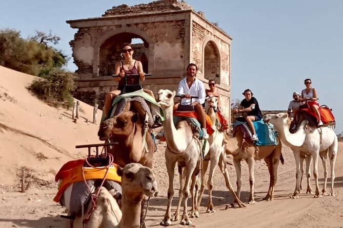 3 hours Camel Ride in Essaouira, beach and dunes - Is $75.60 a fair price?