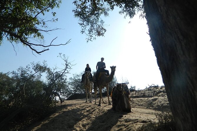 3 hours Camel Ride in Essaouira, beach and dunes - Who should book this camel ride?