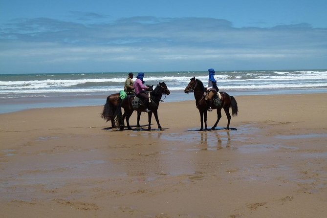 3 hours horse riding in Essaouira, beach, forest and dunes - Choosing a morning or late-afternoon ride