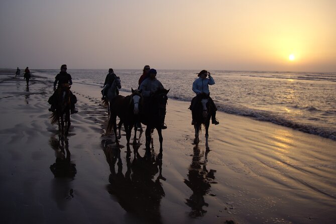 3 hours horse riding in Essaouira, beach, forest and dunes - Reaching the dunes and a small fishing village