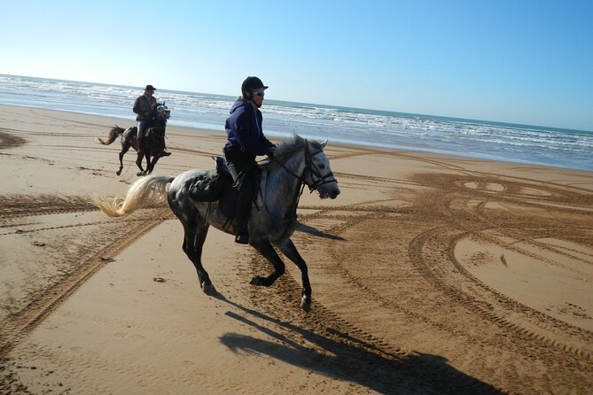 3 hours horse riding in Essaouira, beach, forest and dunes - How demanding are three hours in the saddle?