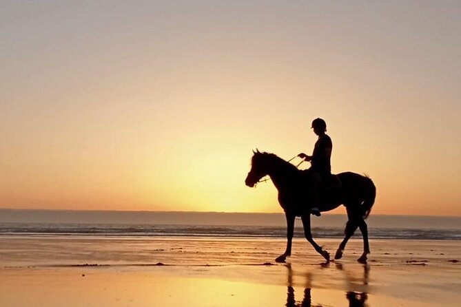 3 hours horse riding in Essaouira, beach, forest and dunes - What the $75.49 price really includes