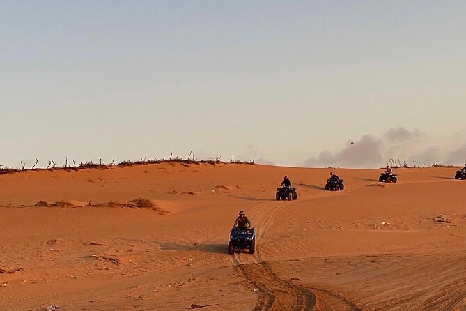 3 Hours Quad Trip in Essaouira discover the Cave and the biggest Dunes - Eucalyptus and mimosa along the route