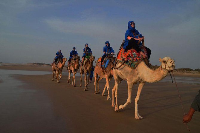 3 hours ride on camel at sunset - Getting comfortable on a dromedary
