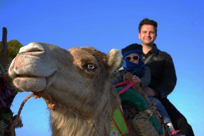 3 hours ride on camel at sunset - Diabat village and the old ruins
