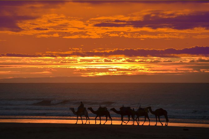 3 hours ride on camel at sunset - Cap Sim dunes and the sunset return