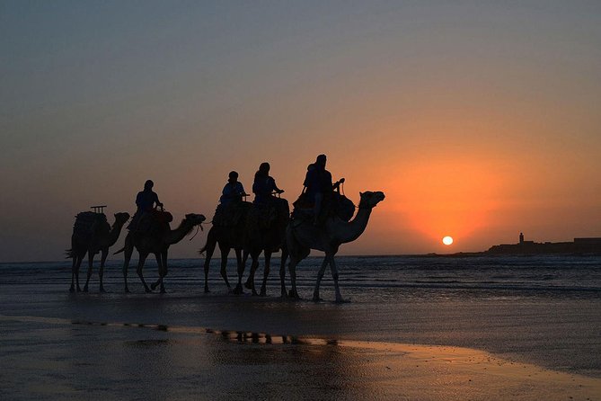 3 hours ride on camel at sunset - What the $52.14 price really covers
