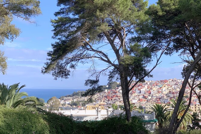 3h Private Walking Tour in Tangier Kasbah Medina & Colorful Souks - Inside the Kasbah Museum