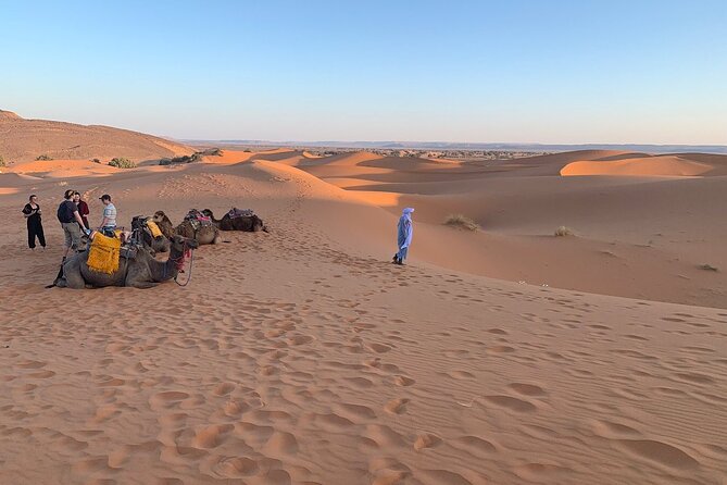 4×4 Jeep Desert Safari Tour with Lunch and Camel Ride - From Agadir to the Massa Valley by 4x4