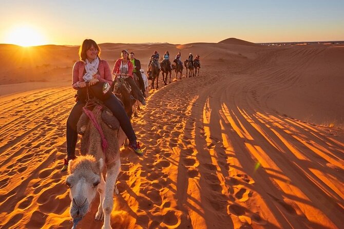 4 Day desert trip from Fes to Marrakech and 2 night in merzouga - From Fes to the cedar country around Ifrane
