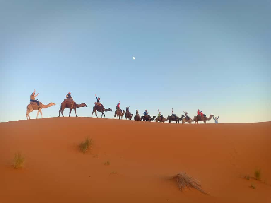 4-Day Marrakech to Merzouga Sahara Adventure & Camel Trek - What the $143 price really covers