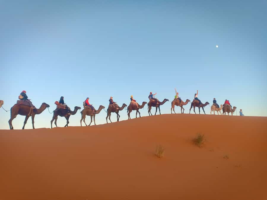 4-Day Marrakech to Merzouga Sahara Adventure & Camel Trek - Todra Gorge and the palm oasis