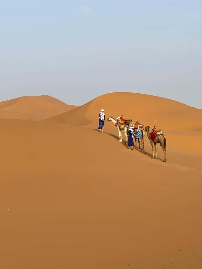 4 days Sahara Desert Tour From Marrakech To Merzouga dunes - Day two: Todra Gorge and the camel ride into Erg Chebbi
