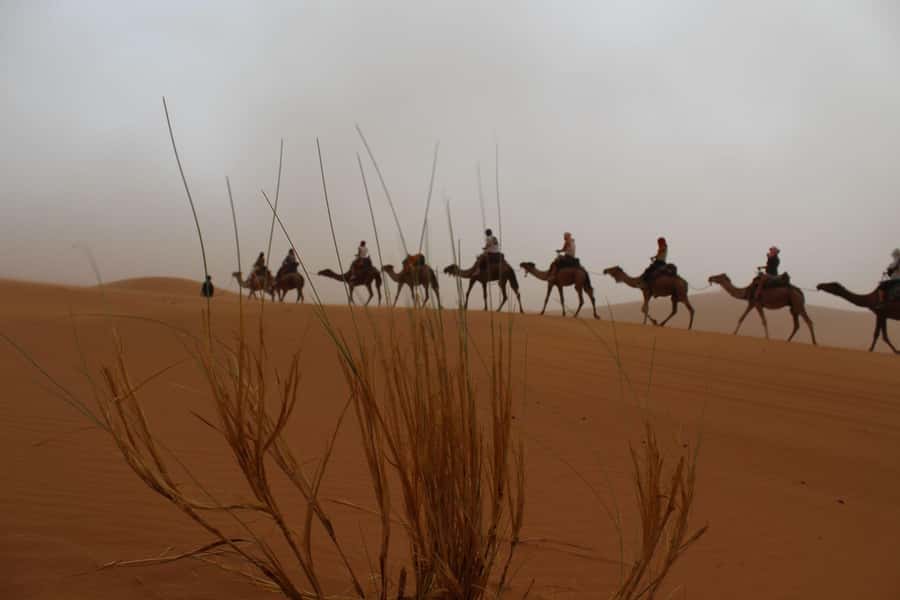 4 days Sahara Desert Tour From Marrakech To Merzouga dunes - Day one: Tizi n’Tichka and Ait Ben Haddou