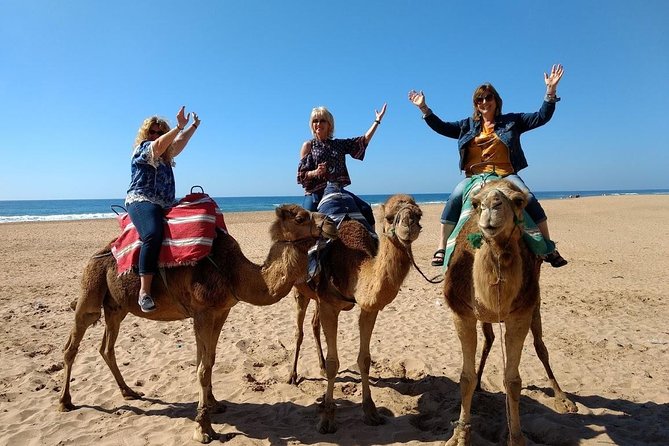 4 Hour Tangier City Private Tour - The camel ride at Achakar beach