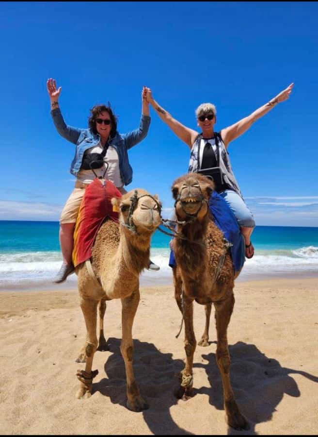 4 Hours Deluxe Guided Tour of Tangier + A tour with camels - Key points to know before booking