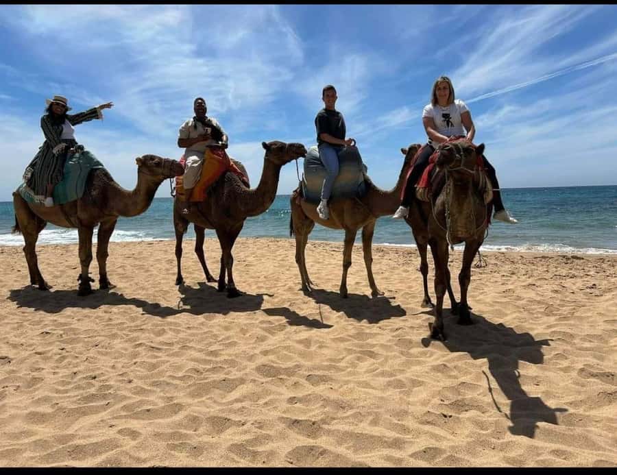 4 Hours Deluxe Guided Tour of Tangier + A tour with camels - The medina is where the tour feels most personal