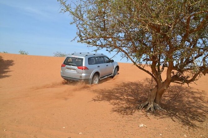 4 WD Agadir Small desert discovery including lunch - Tiznit’s old medina and silver work