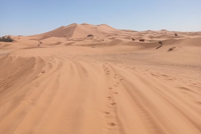 4WD Agadir Day Trip to Massa - The Massa river valley and its birdlife