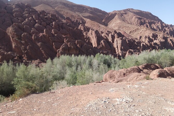 5 Days Private Tour from Casablanca to Fes and Sahara Desert - The private format and the people behind it