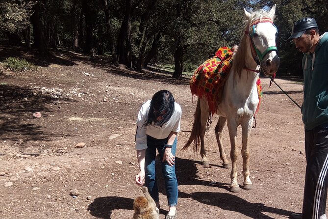 5 Days Private Tour from Casablanca to Fes and Sahara Desert - Meals, comfort, and practical costs