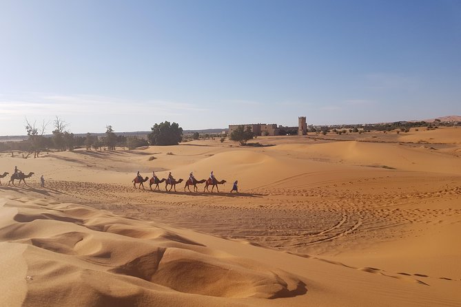 5 Days Tour From Fes - Price, practical costs, and booking checks